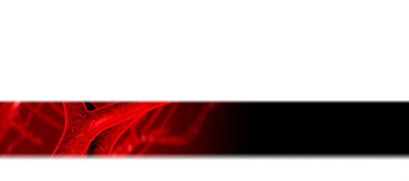 Kardiologie und Angiologie Dresden Dr. Schmidt